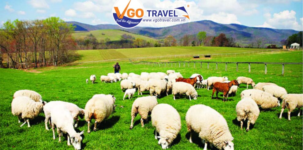 tour-du-lich-phan-thiet-mui-ne-3-ngay-2-dem